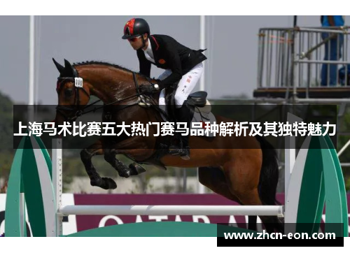 上海马术比赛五大热门赛马品种解析及其独特魅力