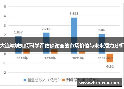 大连鲲城如何科学评估穆谢奎的市场价值与未来潜力分析