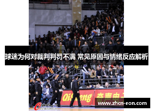 球迷为何对裁判判罚不满 常见原因与情绪反应解析