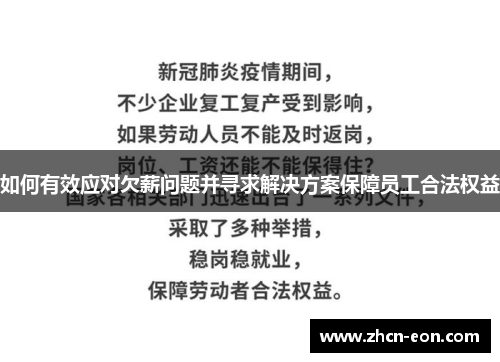 如何有效应对欠薪问题并寻求解决方案保障员工合法权益