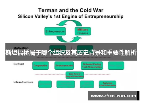 斯坦福桥属于哪个组织及其历史背景和重要性解析